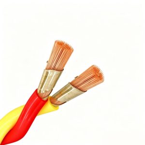 WDZN-RYJS  LSZH Flame Retardant & Fire Resistant XLPE Insulated Twisted Pair Flexible Wire  300/300V